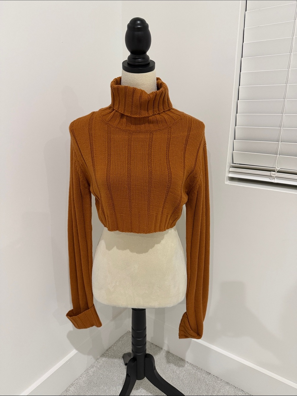 Hera Collection Cropped Ribbed Turtleneck Sweater in Rust Orange